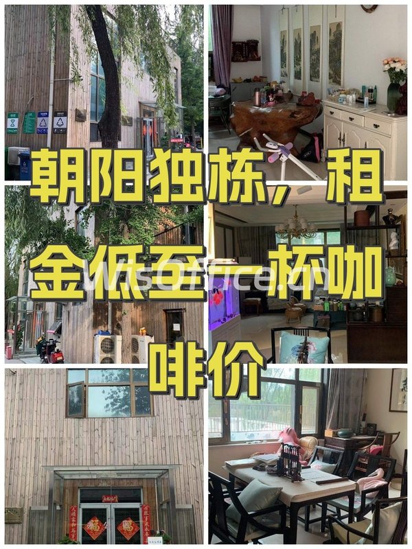朝阳独栋，租金低至一杯咖啡价 - 首图