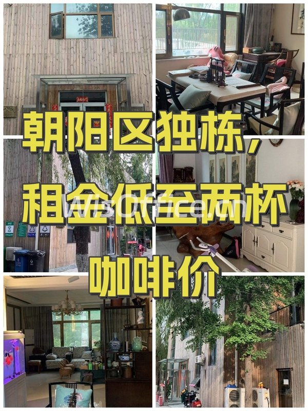 朝阳区独栋，租金低至两杯咖啡价 - 首图