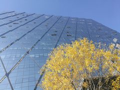 冠捷大厦640平 东北三环 花园式办公 - 缩略图 2