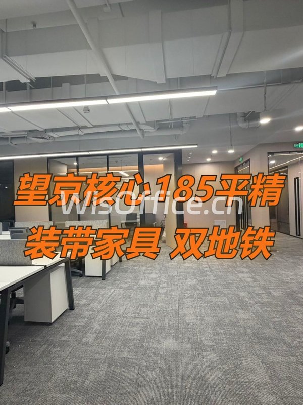 望京核心185平精装现房 双地铁带家具 - 首图