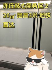 亦庄核心商务区 226㎡ 层高3米 地铁直达 - 缩略图 1
