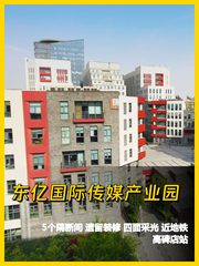 东亿传媒产业园 500平挑高露台办公 - 缩略图 1