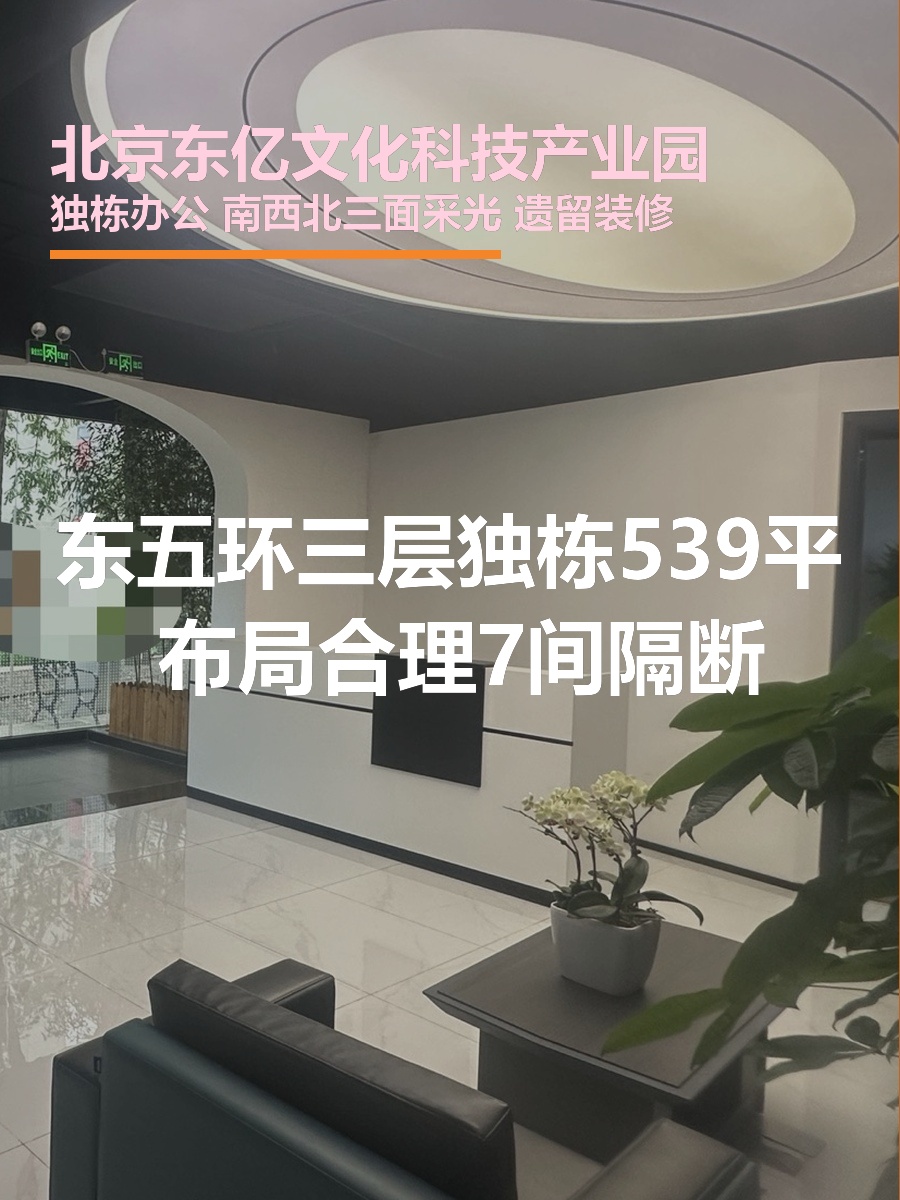 东五环独栋539平 南向采光好 7间隔断