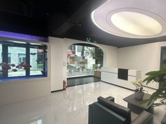 东五环独栋539平 南向采光好 7间隔断 - 缩略图 20