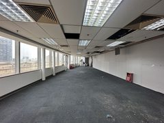 国贸毛坯 800平 南向采光 - 缩略图 3