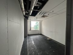 国贸毛坯 800平 南向采光 - 缩略图 8