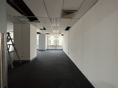 国贸毛坯 800平 南向采光 - 缩略图 13