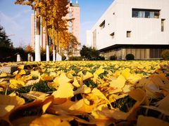 东四环独栋1260平 园区配套全 - 缩略图 17