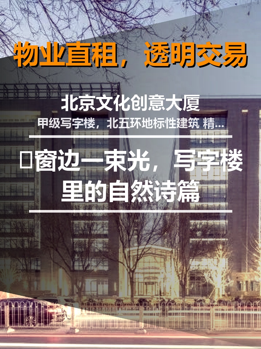 🌿窗边一束光，写字楼里的自然诗篇