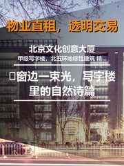 🌿窗边一束光，写字楼里的自然诗篇 - 缩略图 1