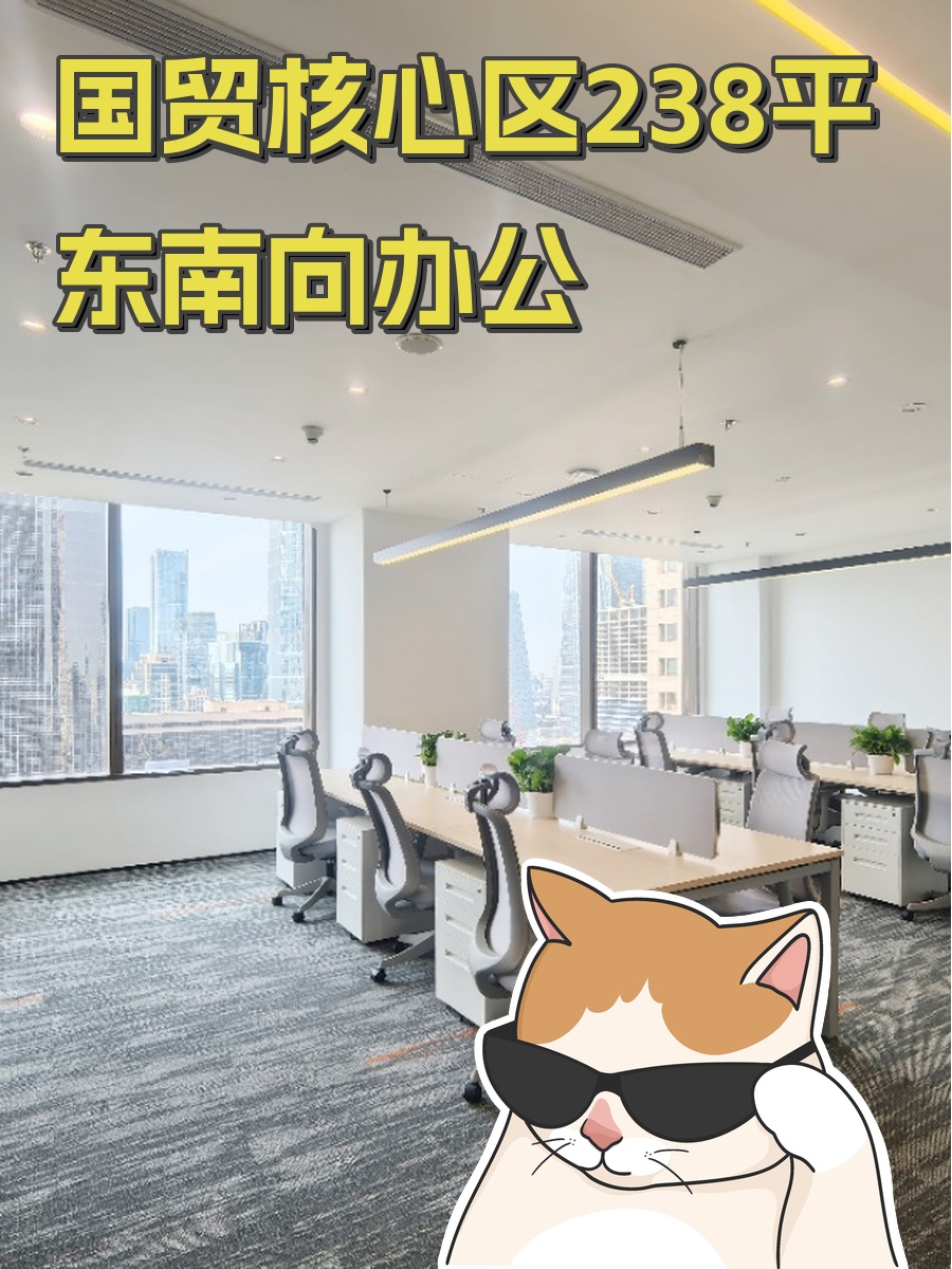 国贸核心区238平东南向办公