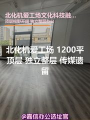 北化机爱工场 1200平顶层 独立整层 传媒遗留 - 缩略图 1