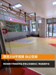 双井现房350平 双地铁 带全套家具 - 缩略图 1