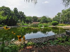 北美国际商务 K2座 精装现房 310㎡ - 缩略图 16