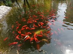 真房｜北美国际商务中心 |692平｜2.98元｜亚运村核心 - 缩略图 14