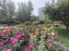 亚奥商圈园林式办公489平 - 缩略图 16