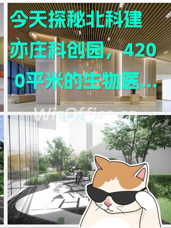 今天探秘北科建亦庄科创园，4200平米的生物医药天堂 - 首图