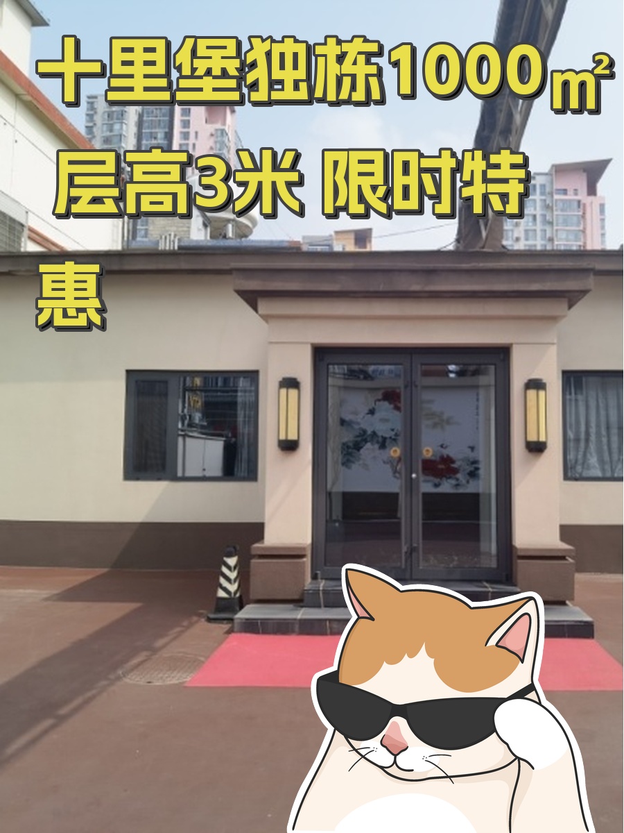 十里堡独栋1000㎡ 层高3米 限时特惠