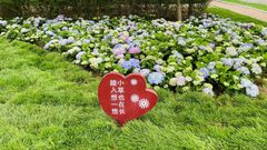 华腾世纪总部公园整栋出租 10000平米 传媒产业园 - 缩略图 5