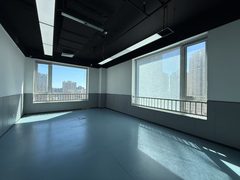 华腾世纪总部公园整栋出租 10000平米 传媒产业园 - 缩略图 14