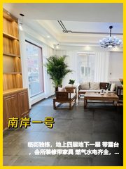 南岸一号独栋临街带露台 - 缩略图 1