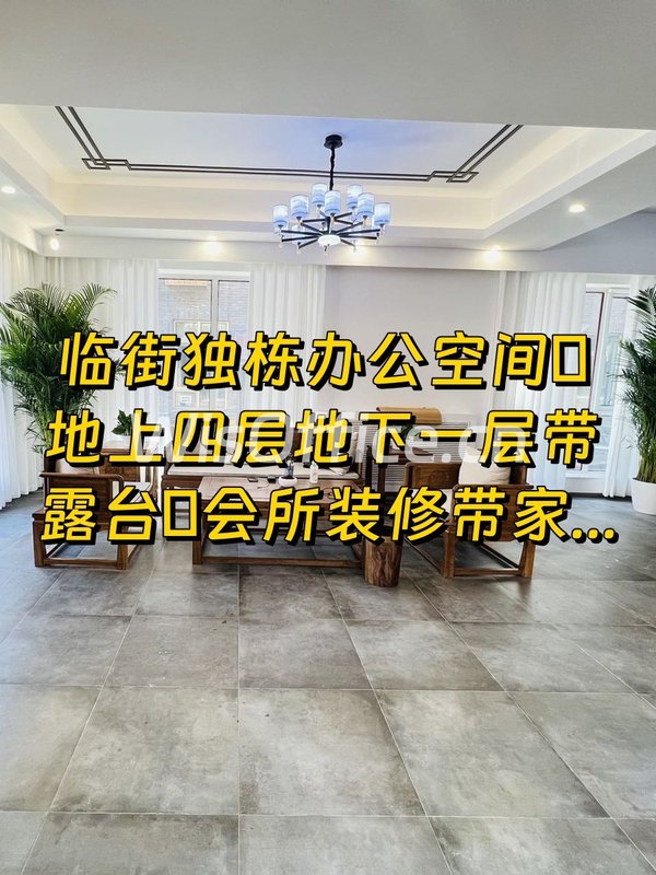 南岸一号550平独栋临街带露台 - 首图