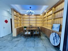 南岸一号550平独栋临街带露台 - 缩略图 2