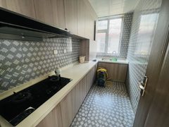 南岸一号550平独栋临街带露台 - 缩略图 14