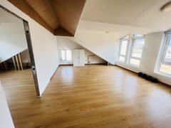 南岸一号550平独栋临街带露台 - 缩略图 15