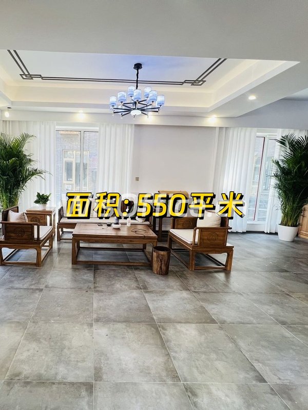 南岸一号550平独栋临街带露台 - 首图