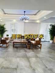 南岸一号550平独栋临街带露台 - 缩略图 1