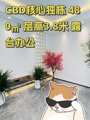 CBD核心独栋 480㎡ 层高3.8米 露台办公 - 缩略图 1