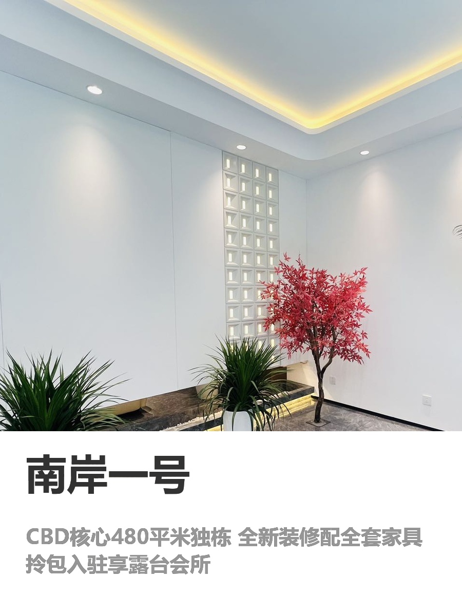 错过CBD独栋，每年少赚百万