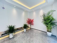 南岸一号独栋办公空间带露台 - 缩略图 1