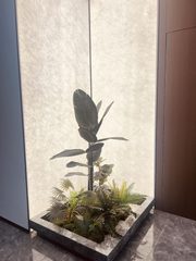 南岸一号独栋办公空间带露台 - 缩略图 8