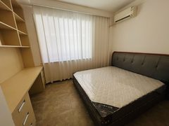 南岸一号独栋办公空间带露台 - 缩略图 12