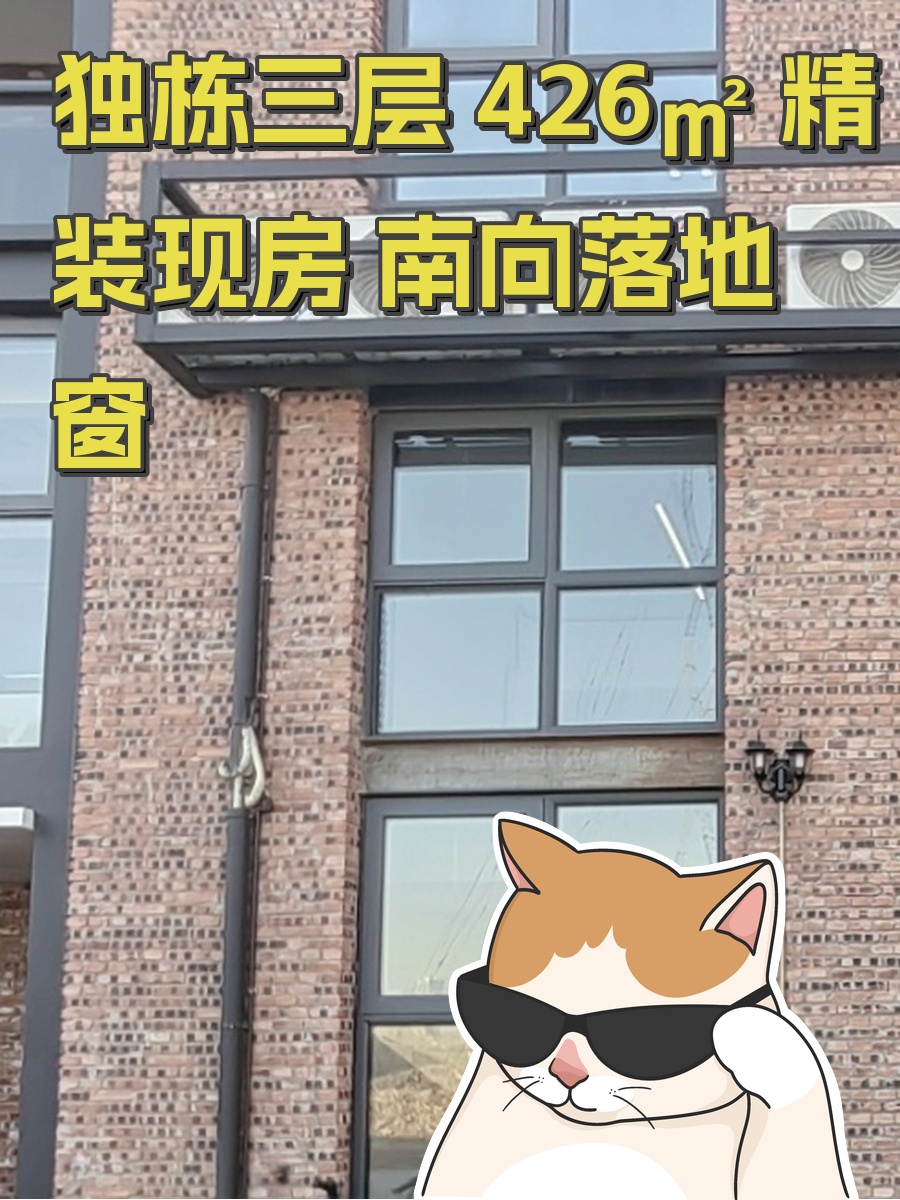 独栋三层 426㎡ 精装现房 南向落地窗