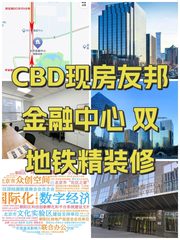 CBD现房友邦金融中心 双地铁精装修 - 缩略图 1