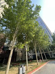 北京双清大厦 | 308平 | 4.5元 | 拎包入驻 - 缩略图 4