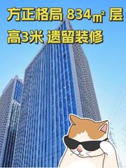 方正格局 834㎡ 层高3米 遗留装修 - 缩略图 1