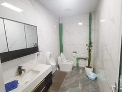 东五环现房 391平 独栋独卫 送露台 近地铁 - 缩略图 6