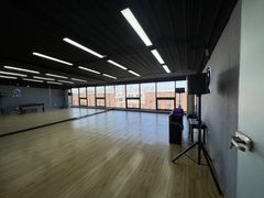 东五环现房 391平 独栋独卫 送露台 近地铁 - 缩略图 11