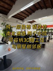 双桥DREAM 2049 280平独栋南北通透带小院 - 缩略图 1
