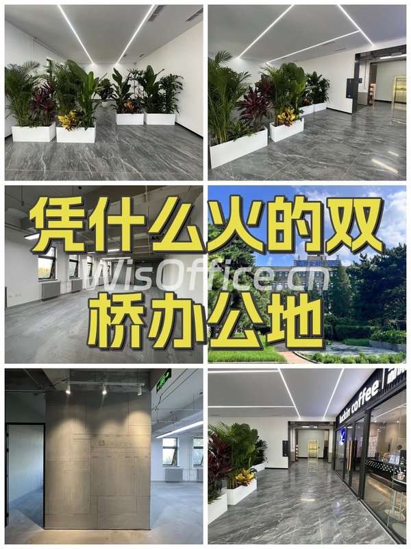 凭什么火的双桥办公地 - 首图