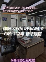 双桥DREAM 2049 132平 精装现房 - 缩略图 1