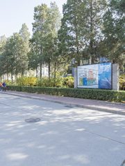 双桥DREAM 2049 418平 三面采光 现代装修 - 缩略图 16