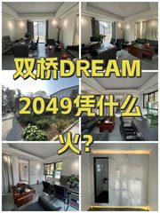 双桥DREAM 2049凭什么火？ - 缩略图 1