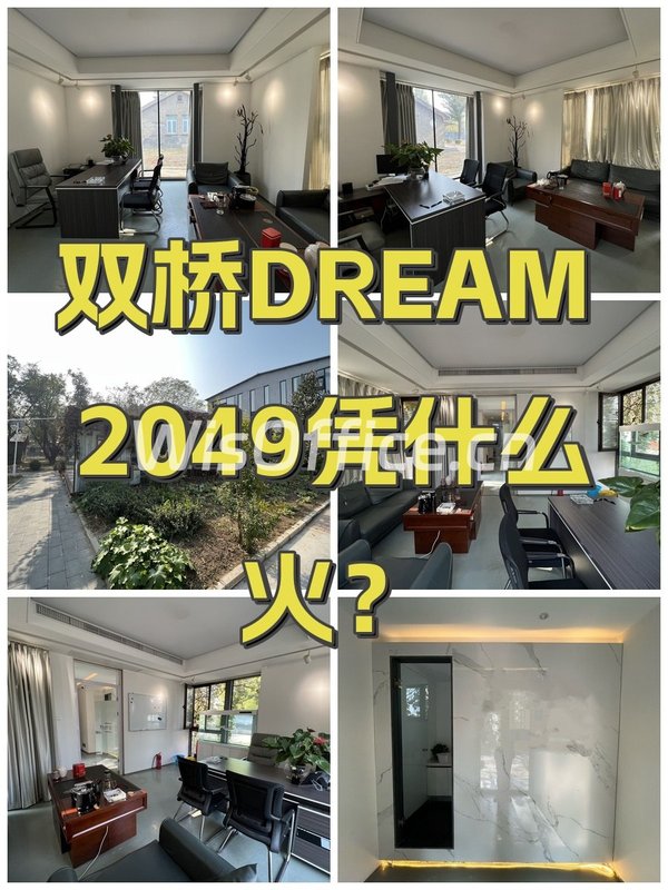 双桥DREAM 2049凭什么火？ - 首图