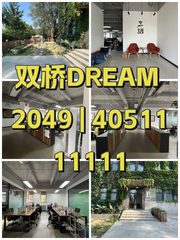 双桥DREAM 2049 | 405平纯一层带庭院 - 缩略图 1
