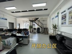 双桥DREAM 2049 | 独栋庭院 | 历史建筑？ - 缩略图 8